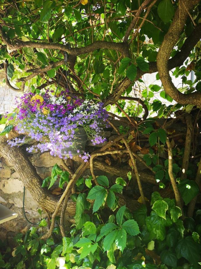Au Clos Des Anges Saint-Jean-de-Maruejols-et-Avejan ภายนอก รูปภาพ